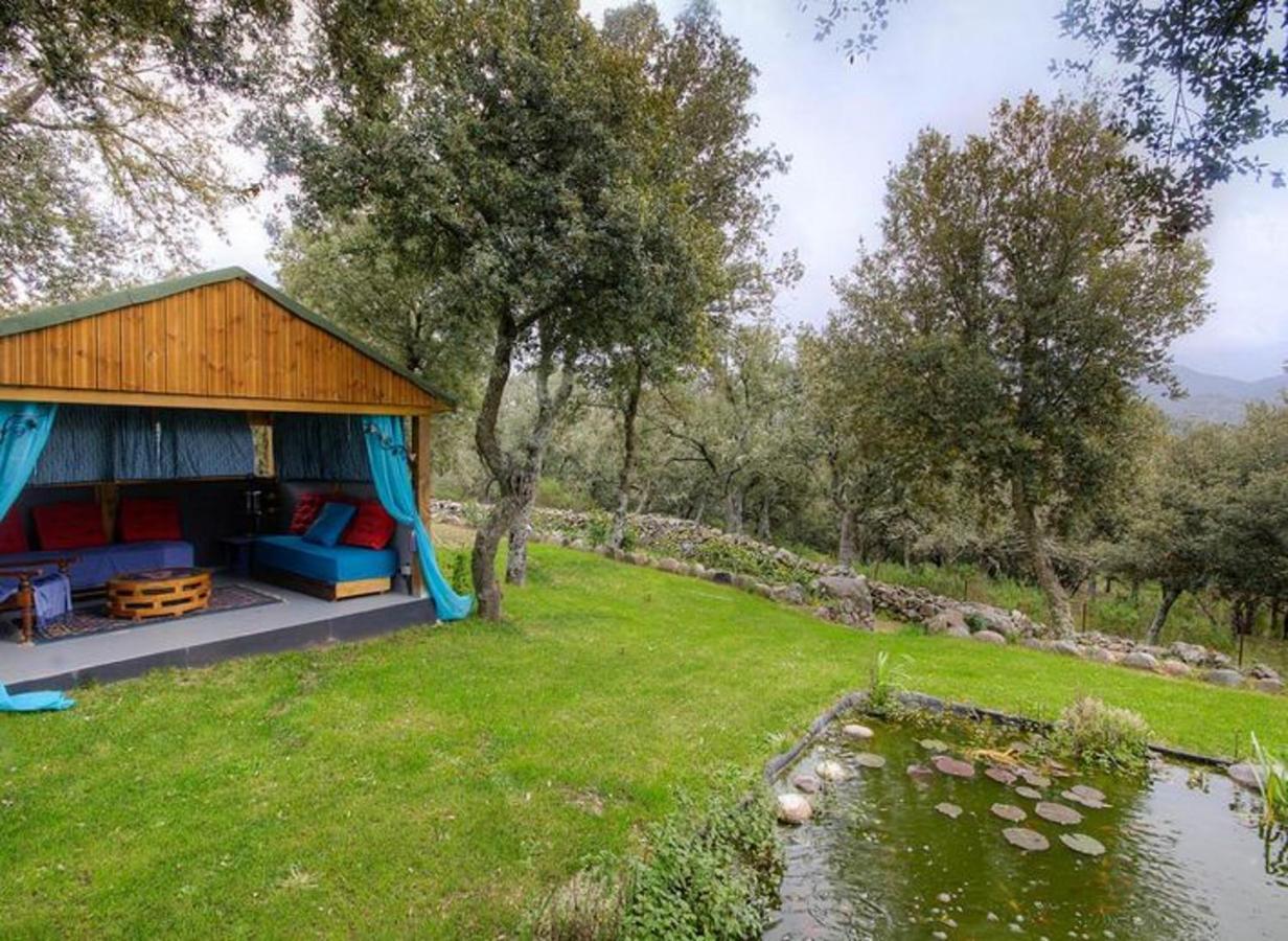 Studio Confortable Avec Vue Sur La Montagne A Moltifao 30M² Jardin Экстерьер фото