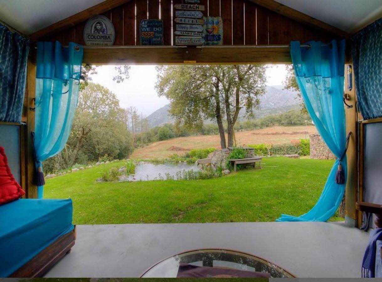Studio Confortable Avec Vue Sur La Montagne A Moltifao 30M² Jardin Экстерьер фото
