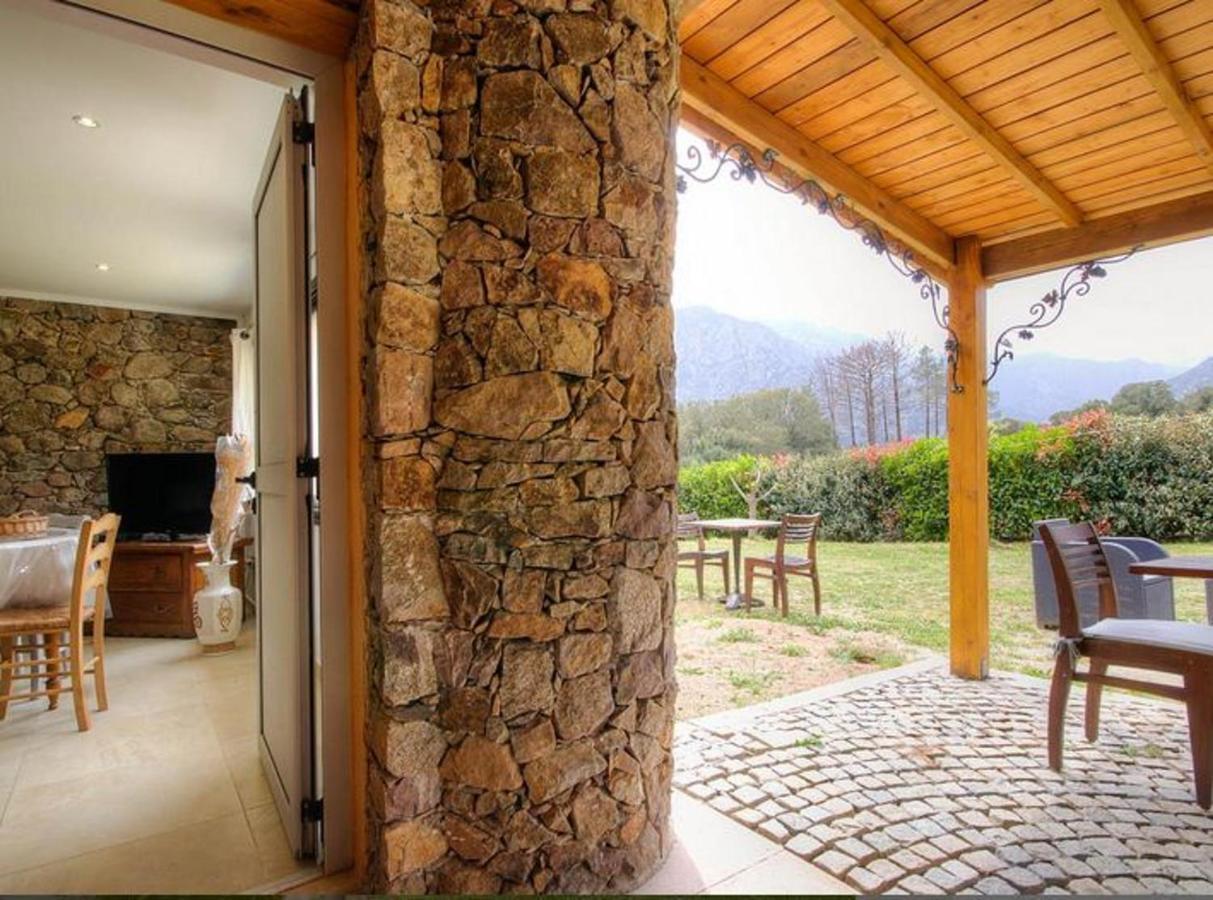 Studio Confortable Avec Vue Sur La Montagne A Moltifao 30M² Jardin Экстерьер фото